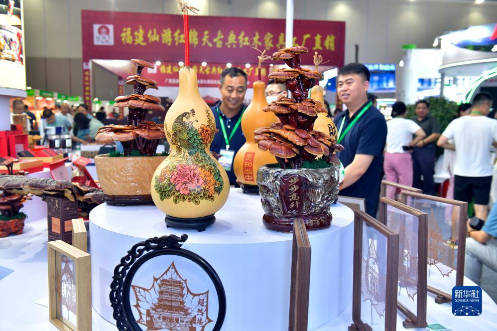 彩金网站集合